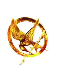 Flaming mocking jay logo