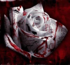 bloody-flowers--large-msg-115349290234