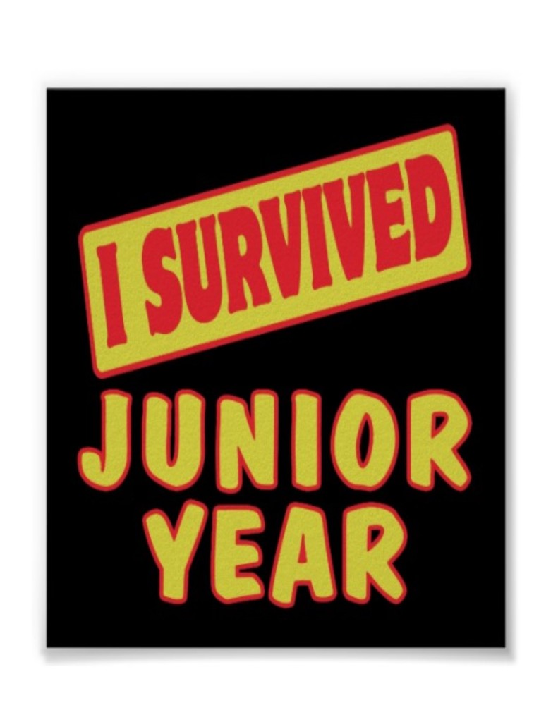 surviving junior year 1
